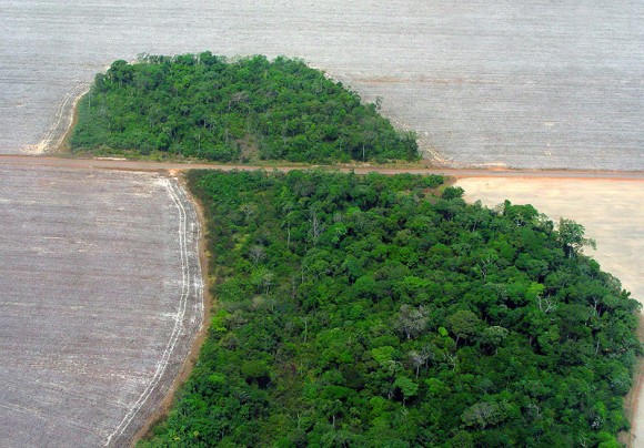 Odlesňování brazilských amazonských pralesů v oblasti Mato Grosso. foto: Pedro Biondi/Abr, licence Creative Commons Attribution 3.0 Brazil
