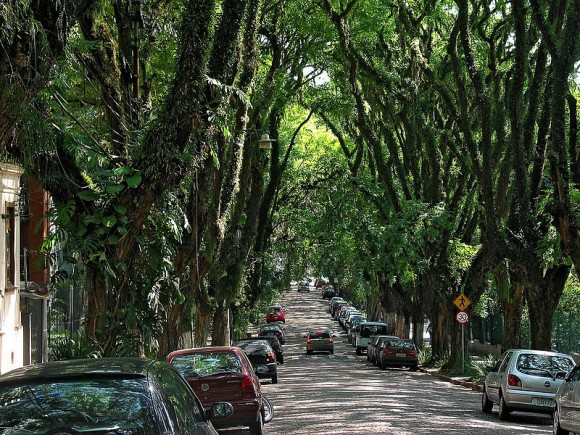 Za stromy lemující Rua Gonçalo de Carvalho v Porto Alegro se místní museli bít. foto: licence Creative Commons