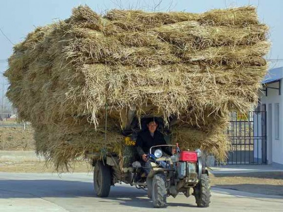 „Zpracování biomasy zatím stojí stranou čínských zájmů. To se má ale změnit.“ Zdroj: bioenergyconsult.com