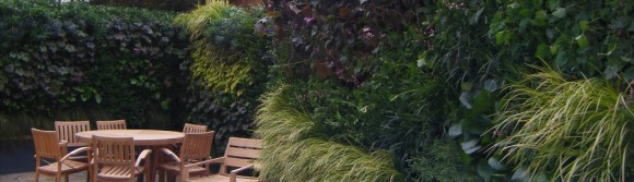 Společnost Biotecture se specializuje na realizace vertikálních zahrad po celém Londýně, foto: Biotecture