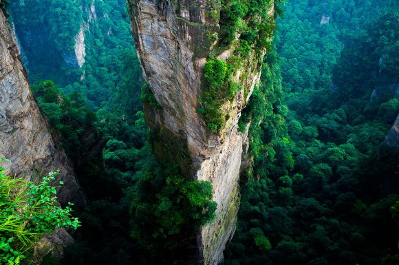 „Stromy na skaliscích v Národním parku Zhangjiajie. Takové žádná celonárodní reforestace bohužel nikdy nenahradí.“ Zdroj: severin.stalder 