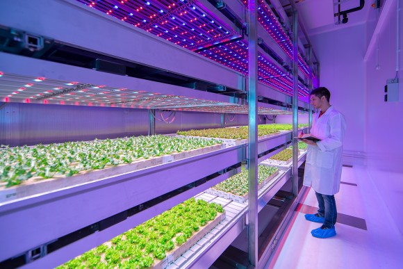 „Výzkum a vývoj na poli zemědělského farmaření v interiérech by mohl proměnit svět.“ Zdroj: Philips.com