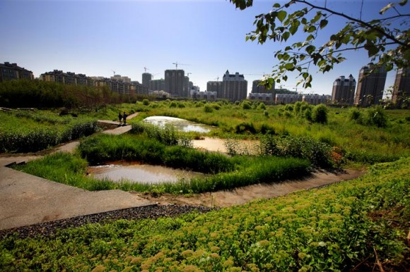 Rozloha 32,4 hektarů činí z Qunli parku největší souvislou zeleň v plánech habrinského města. foto: Turenscape