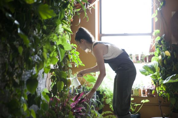 „Život v New Yorku by si bez uklidňující zeleně nedokázala Summer Rayne Oaksová vůbec představit.“ Zdroj: Modern Farmer