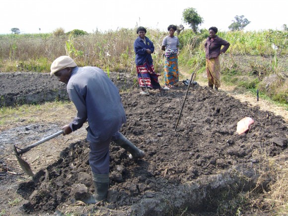 Podmínky pro městské zemědělství v Zambii jsou a lidé je chtějí využívat. Zdroj: Lenka Voleníková