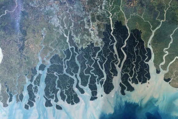 „Družicový snímek sundarbanských močálů a mangrovů. Elektrárna by měla vzniknout v pravém horním rohu. „Zdroj: NASA 