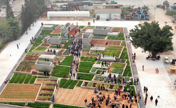 „Střechy domů ve městech jsou jako neobdělaná pole,“ tvrdí architekt projektu Value Farm, Thomas Chung. Zdroj: ArchDaily.com/Value Farm
