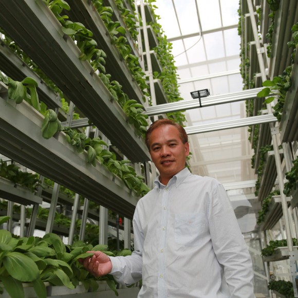 „Minimální plocha a maximální úroda.“ Zdroj:SkyGreens 