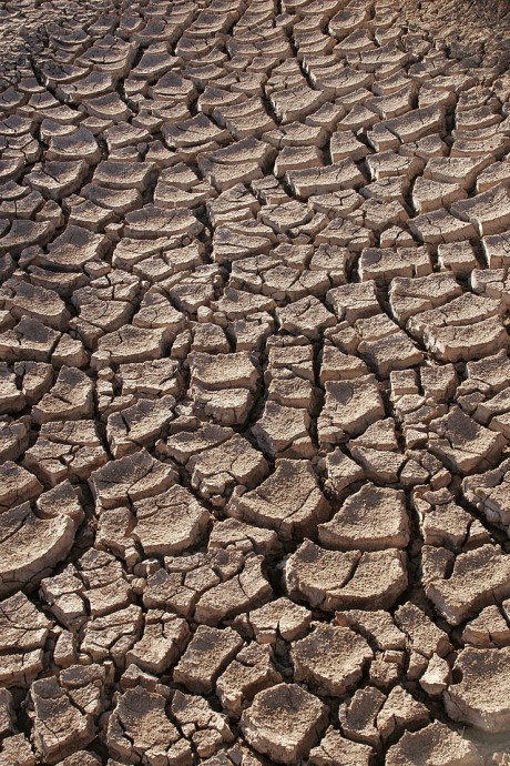 Vysychající půda na hranicích Sonorské pouště v Mexiku. Dopadne Kalifornie stejně?  Zdroj: Tomas Castelazo/ en.wikipedia.org/ CC BY 3.0