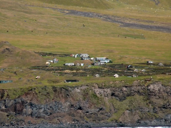 „Ostrůvek Tristan da Cunha, kde žije víc ovcí a krav, než lidí.“ Zdroj: Mark Clarke/Wikimedia