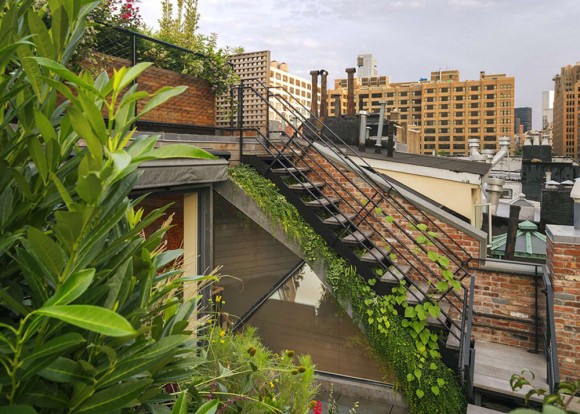 Zelené střešní terasy oživily kouzlo starého domu. Zdroj: 6sqft.com