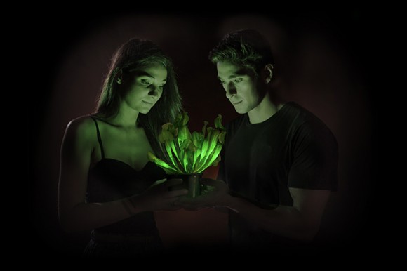 Svítící rostlina Starlight Avatar společnosti Bioglow