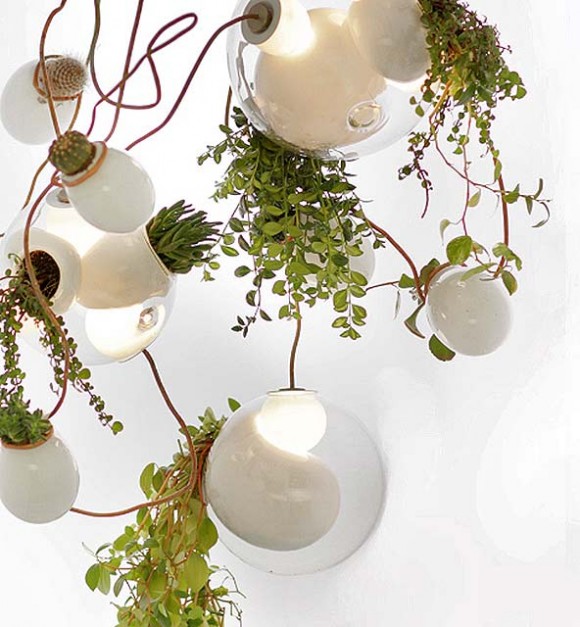 Nová kolekce Omera Arbela přináší současně světlo i zeleň do vašeho pokoje. Zdroj: Bocci.ca