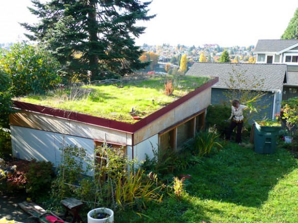 Pořídit si zelenou střechu není až tak složité, a výsledná úspora je přitom hmatatelná. Zdroj: ecofriend.com