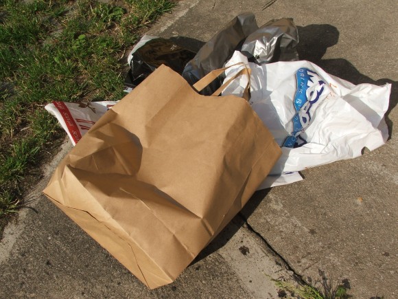Plastové tašky a pytle mají v Los Angeles utrum, nastupuje papír. foto: Jan Horčík/Ekologické bydlení