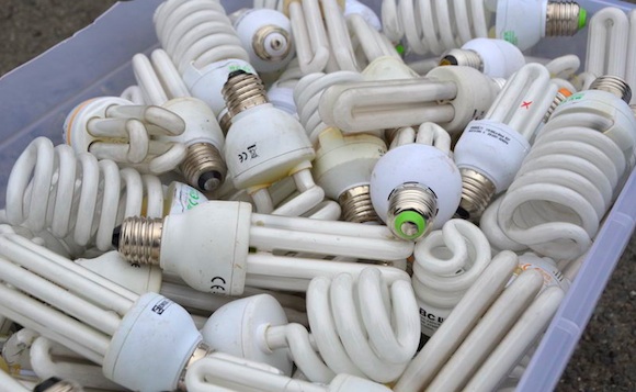 Úsporné žárovky - Češi jich recyklují čím dál tím více, foto: EKOLAMP