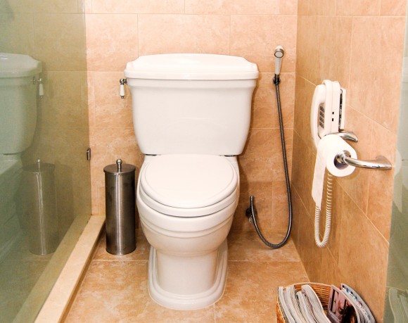 Záchod - toaleta - dočkáme se energetického využití lidské moči? foto: sxc.hu/agrelli