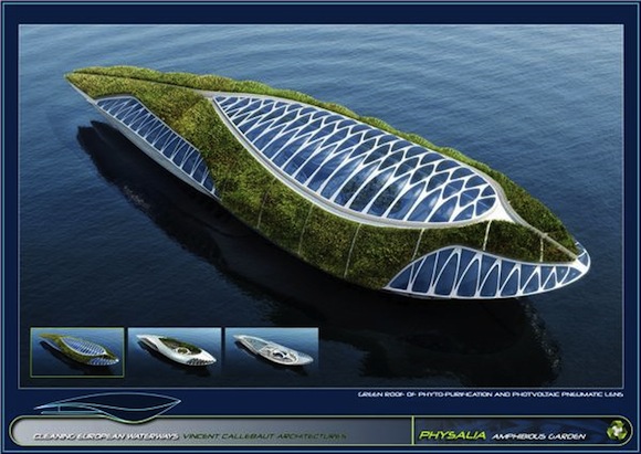 biotechnologie - Physalia