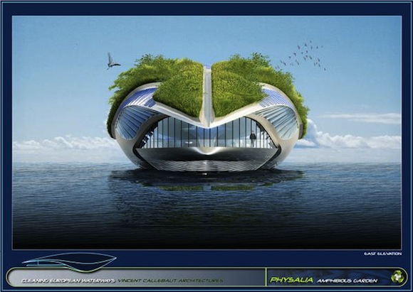 biotechnologie - Physalia