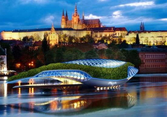 biotechnologie - Physalia