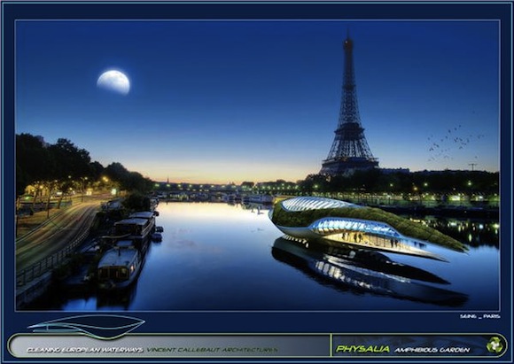 biotechnologie - Physalia