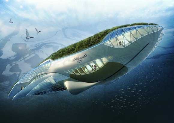 biotechnologie - Physalia