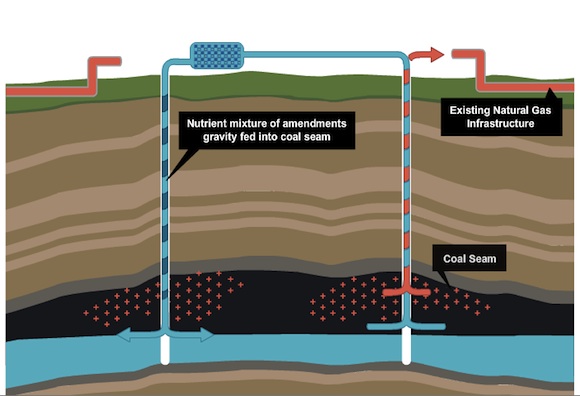 fosilní paliva - těžba zemního plynu - bakterie
