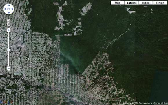 Google Earth Engine - deštné pralesy - satelit
