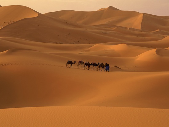 Sahara - poušť v Maroku