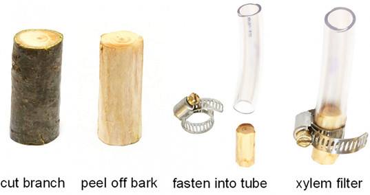 „Takový dřevěný filtr na vodu si zvládne i v polních podmínkách vyrobit každý.“ Zdroj: Inhabitat.com