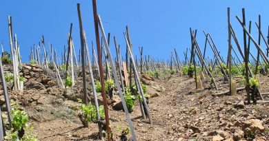 „Začít chytře a šetrně pěstovat stávající zásadní zemědělské plodiny, a přestat pěstovat některé na místech, kam nepatří.“ Zdroj: Alex Lines