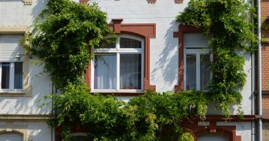 Plastová okna se těší stále větší oblibě.