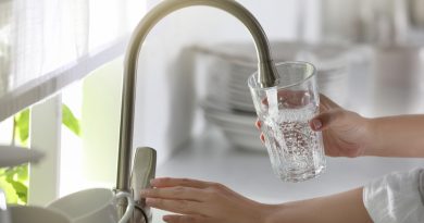 Voda je doma klíčovou komoditou. foto: New Africa / Shutterstock.com